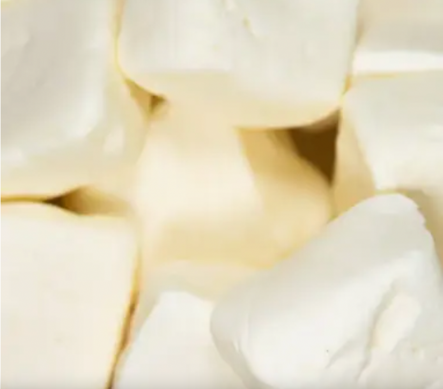 Vanilla Foam Sugar Cube